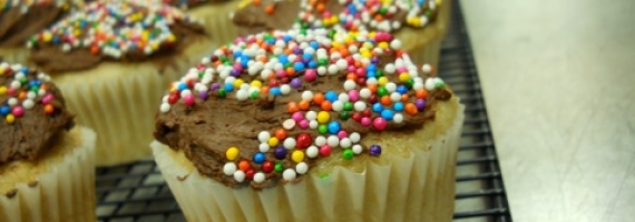 Vegan Vanilla Cupcakes with Chocolate Icing