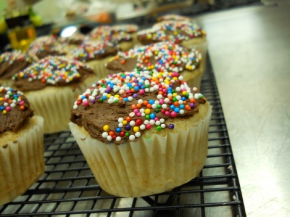 Vegan Vanilla Cupcakes with Chocolate Icing