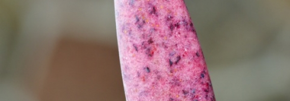 Berry Ice Pops