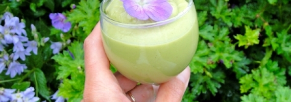 Sublime Key Lime Mousse – A Healthy Vegan Treat! Sublime Key Lime Mousse – A Healthy Vegan Treat!