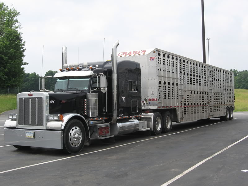 why-livestock-trucks-disturb-me-vegan-cooking-vegan-recipes-resources